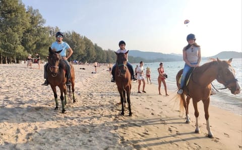 Horseback Riding Experience at Kamala Beach, Phuket