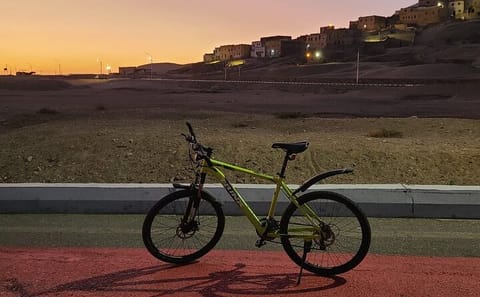 Luxor Bike Tour of the Valley of the Kings and Hatshepsut