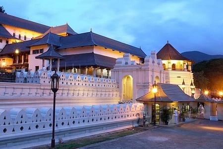 Private Sri Lanka Tour: Cultural Wonders & Natural Treasures