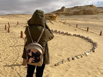 Fayoum Desert Safari and Giza Pyramids Day Tour from Cairo