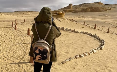 Fayoum Oasis and Valley of the Whales Private Tour from Cairo