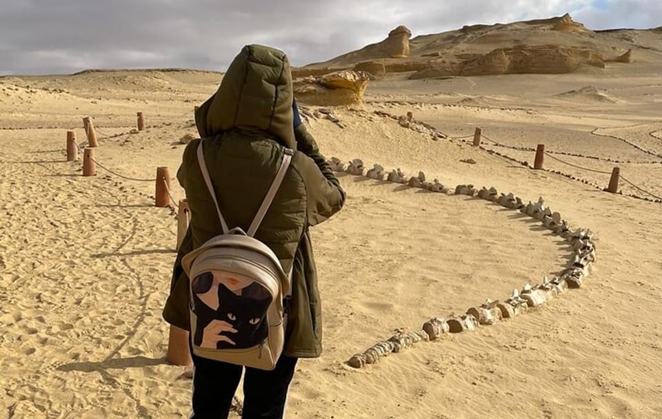 Fayoum Desert Safari and Giza Pyramids Day Tour from Cairo