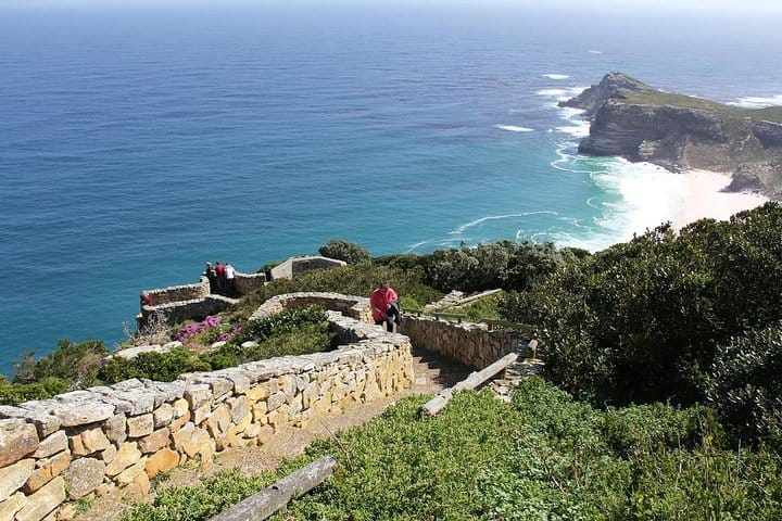 Cape of Good Hope and Boulder's Penguins Full Day Private Tour from Cape Town