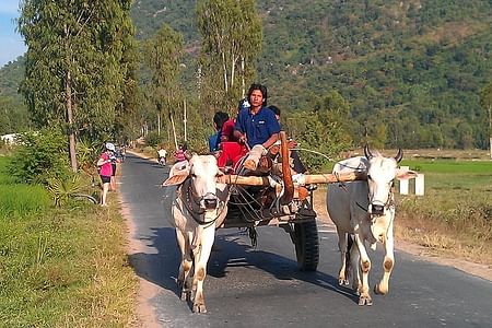 Nha Trang Countryside Adventure: Horse Carriage Ride & Dien Khanh Citadel