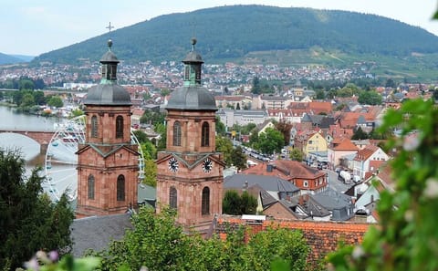 Private Walking Tour of Historic Miltenberg, Germany