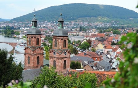 Private Walking Tour of Historic Miltenberg, Germany