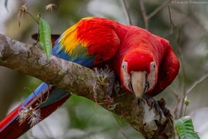 3-Day Posada Amazonas Classic Program Group Tour