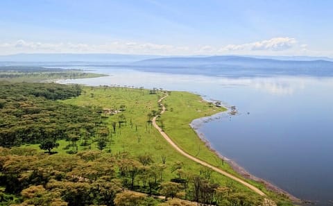 6 Days and 5 Nights Guided Safari Tour in a Land Cruiser