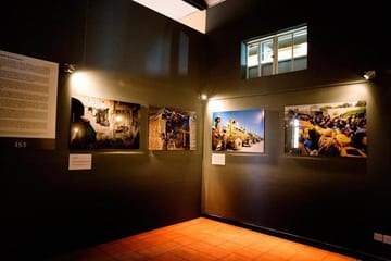 Nairobi National Museum, Park, and Giraffe Center Tour