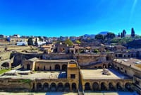 Guided Tour of Pompeii and Herculaneum with Lunch and Ticket  9