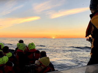 Reykjavík Premium Whales in the Midnight Sun, photo 9