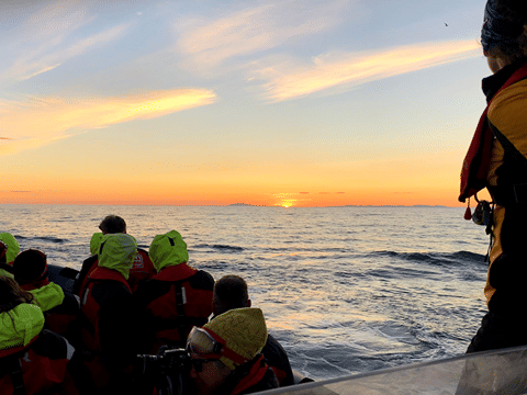 Reykjavík Premium Whales in the Midnight Sun, photo 9