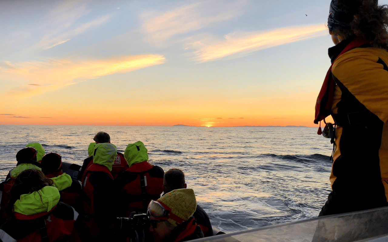 Reykjavík Premium Whales in the Midnight Sun 8