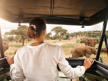 From Arusha: Full-Day Trip to Tarangire National Park