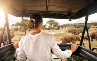 From Arusha: Full-Day Trip to Tarangire National Park