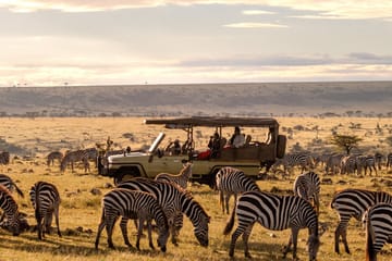 5-Day Luxury Fly-In Safari at Maasai Mara National Reserve