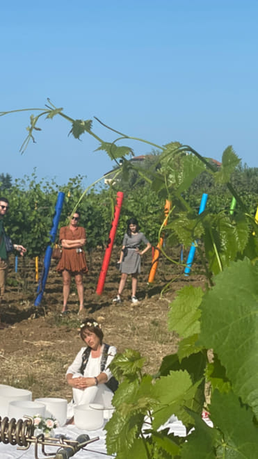 Visit the Vigna Madre Winery and Taste its Wines - Photo 2
