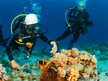 Nha Trang: Hon Mun Marine Park Snorkeling & Island Tour
