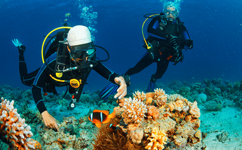 Nha Trang: Hon Mun Marine Park Snorkeling & Island Tour