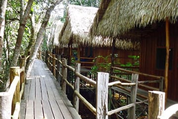 4-Days Unique Experience at Amazon Lodge, immersion on a Jungle Adventure