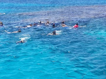 Full-Day Dolphin Swim and Snorkeling Tour in Hurghada