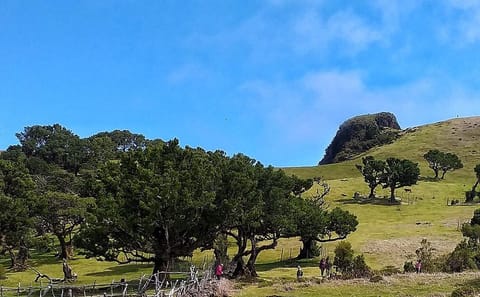 Northwest Madeira 4x4 Adventure: Terraces and Volcanic Pools