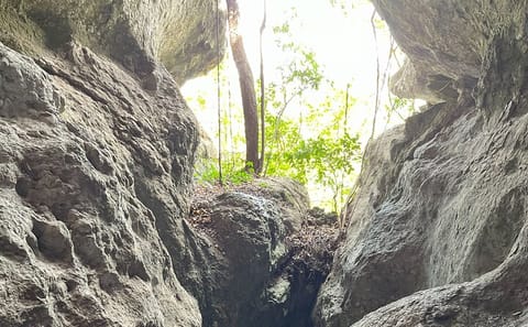 Private Six-Hour Tour of Labuan Bajo's Natural Wonders