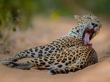Explore Sri Lanka's Nature and Adventure in 8 Days