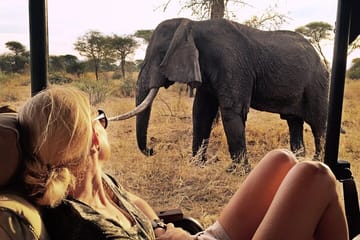 4-Day Amboseli National Park Safari on 4×4 Landcruiser Jeep