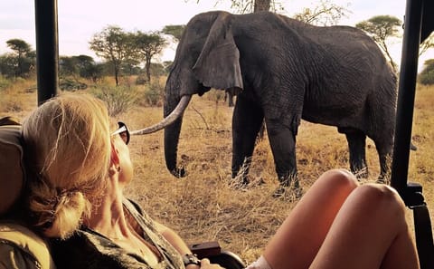 4-Day Safari Adventure in Amboseli National Park, Kenya