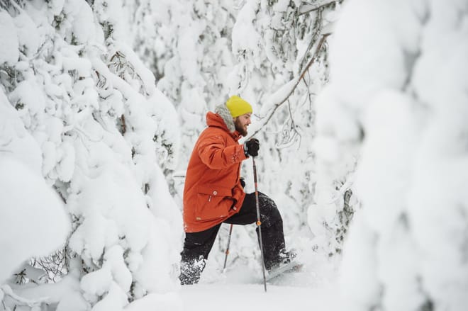 Arctic Snowshoeing with Lunch photo 5