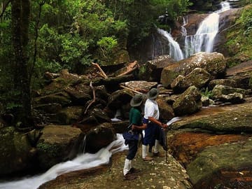 Sinharaja Rain Forest Tour from Galle with Transport
