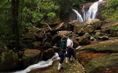 Sinharaja Rain Forest Tour from Galle with Transport