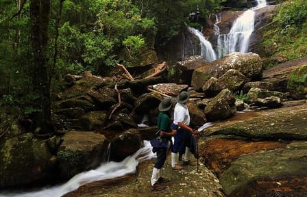 Sinharaja Rain Forest Tour from Galle with Transport