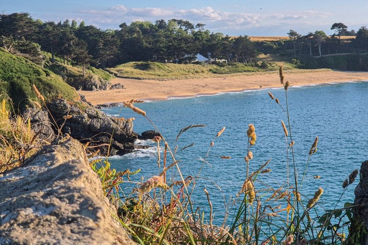 Guided tasting bike ride between Saint-Malo and Cancale 7h 10