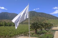 Casa blanca wine tour