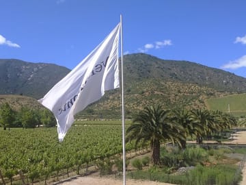 Casa blanca wine tour