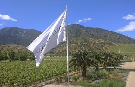 Private Casa Blanca Valley Wine Experience from Santiago