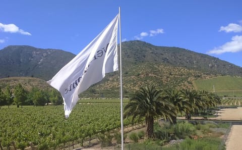 Private Wine Tour of Casablanca Valley from Santiago