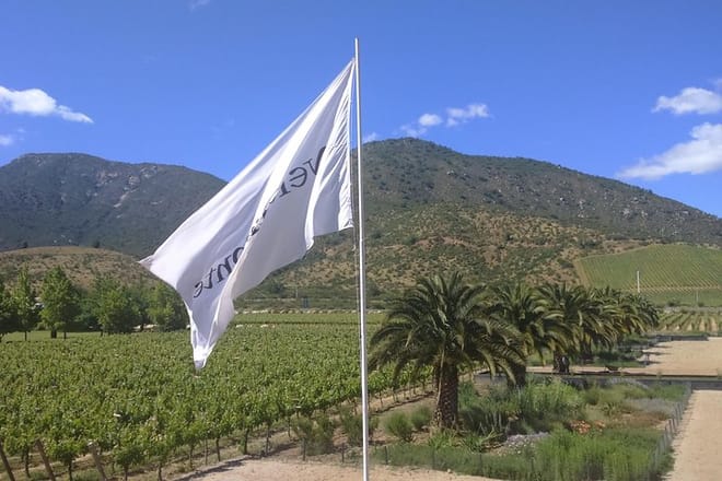 Casa blanca wine tour