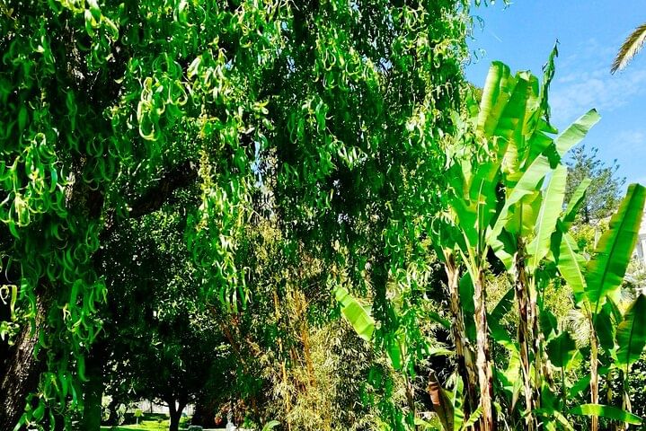 Monaco & Monte-Carlo: Classics & Hidden Gems - Walking & Boat