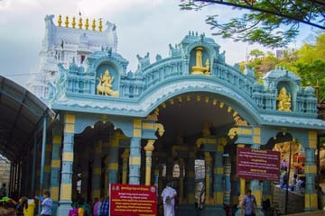 Chennai Temple Trail: Srikalahasti and Venkateswara Tour