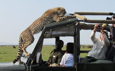 3-Day Budget Camping Safari in Masai Mara, Kenya