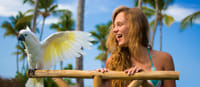 Dolphin Explorer - A Wild Life Park 3