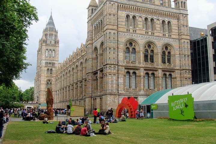 A Day at the Museum - Natural History Museum London 3