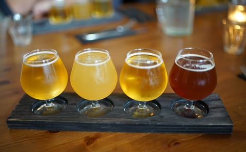 Reykjavik Craft Beer and Nightlife Walking Tour