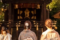 Discovering Kyoto A Tailored Private Tour of the City's Treasures 2