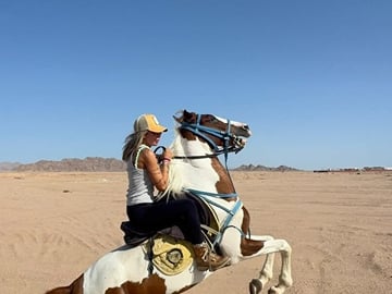 Horseback Riding Adventure in Nabq Bay, Sharm El-Sheikh