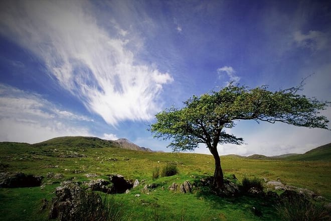 Haunted Bog Road Tour. Galway. Private guided.	 9