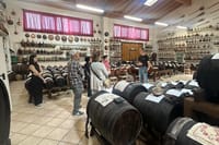 Parmesan and Balsamic Food Tasting Tour with Ferrari Museum 1